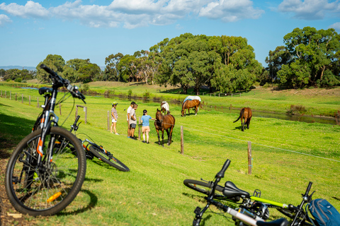 Stadt zu Meer Adelaide Bike Tour