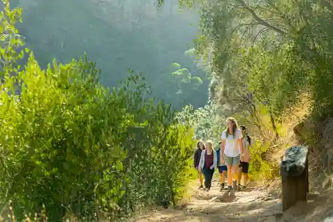Adelaide: Morialta Wilderness and Wildlife Hike