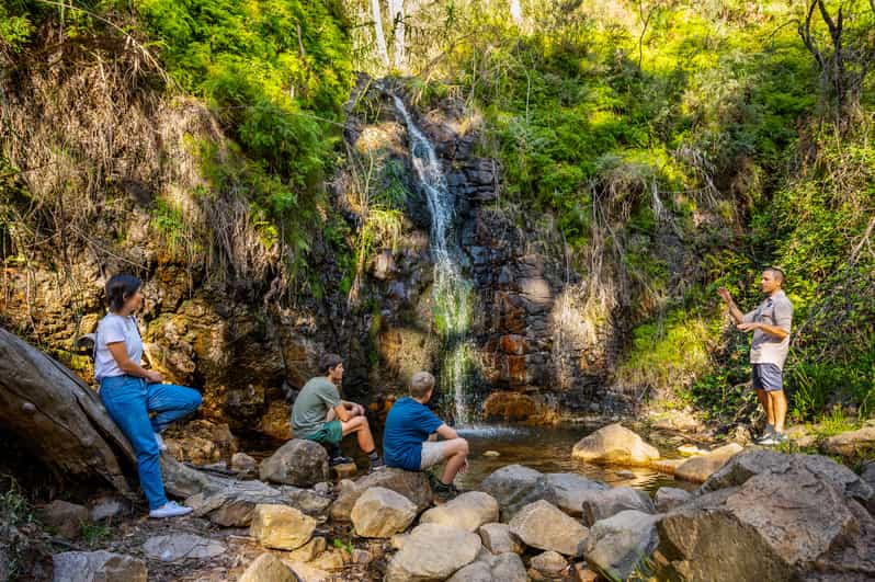Mount Lofty Summit Hike and Cleland Wildlife Park Visit