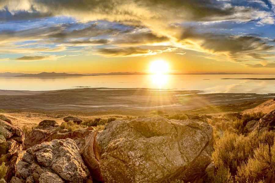Salt Lake City: Great Salt Lake Wildlife & Sunset Experience. Foto: GetYourGuide