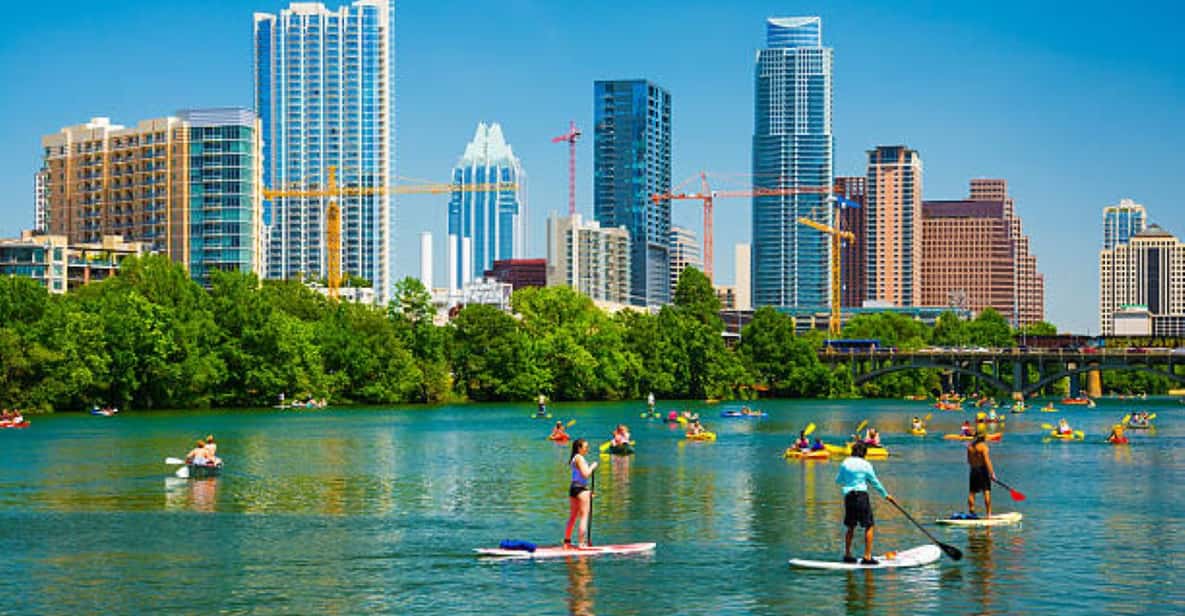 BatSUP Exploring Austin's Waterways Paddleboard Adventure GetYourGuide