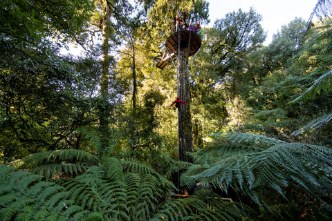 Rotorua: Ultimate Guided Zipline Tour w/ Volcanic Cliff Walk