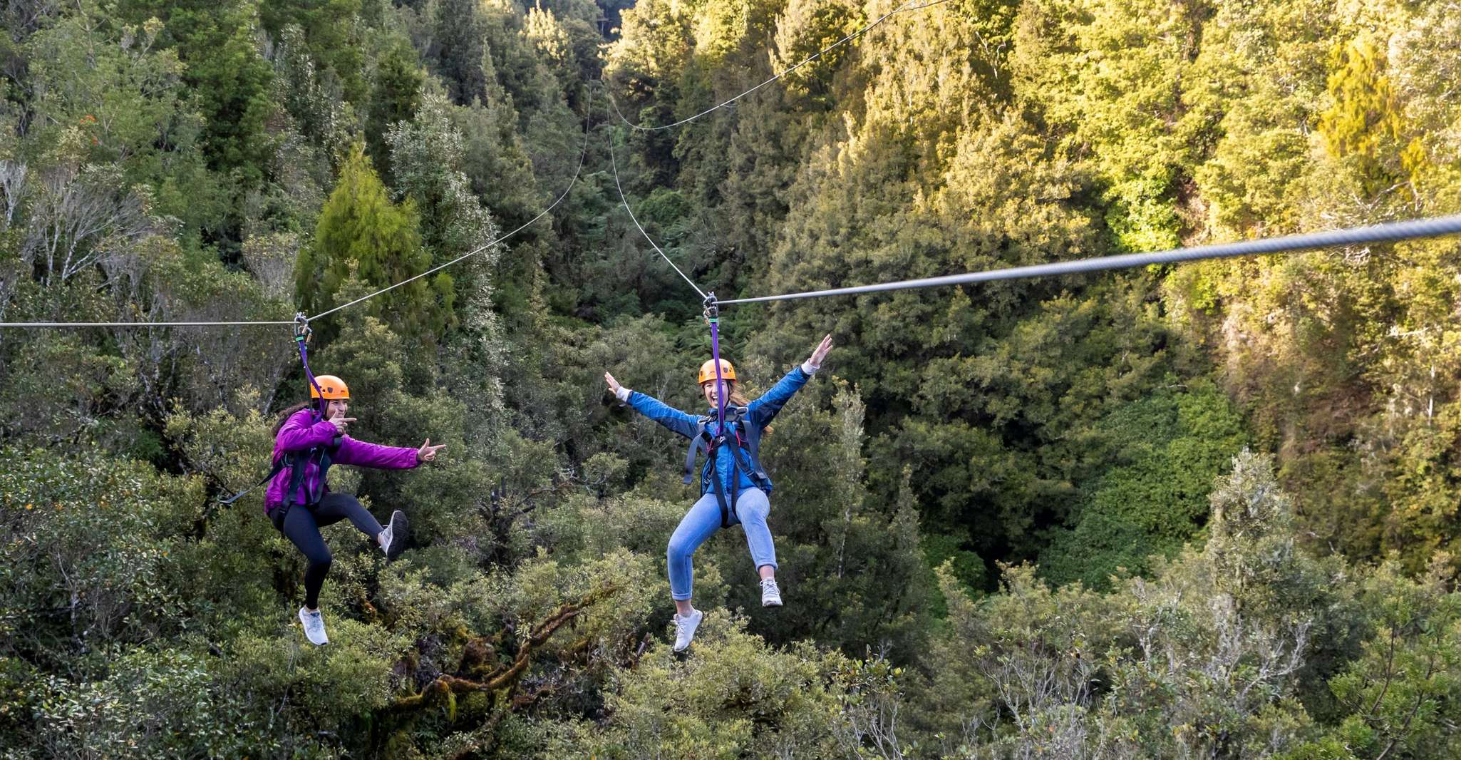 Rotorua, Ultimate Guided Zipline Tour w/ Volcanic Cliff Walk - Hizvo