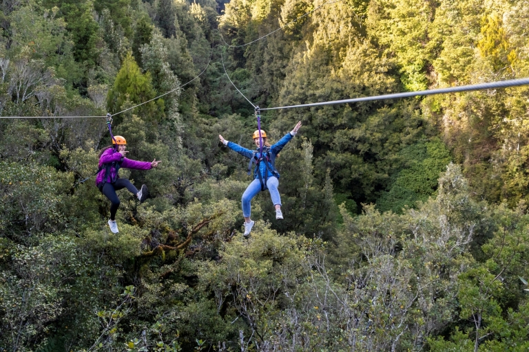 Rotorua : Ultimate Guided Zipline Tour w/ Volcanic Cliff Walk (en anglais)