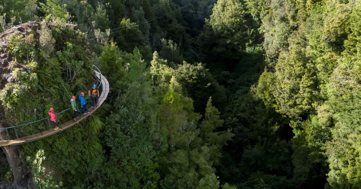 Rotorua Ultimate Zipline Forest Canopy Tour GetYourGuide
