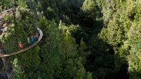 Rotorua, Ultimate Tour Zipline Guiado con / Paseo Volcánico del Acantilado - Hizvo