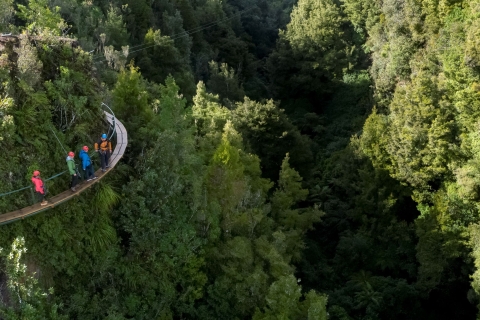 Rotorua: Excursión Guiada en Tirolina con Paseo por el Acantilado Volcánico
