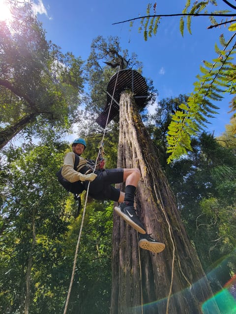 Rotorua, Ultimate Guided Zipline Tour w/ Volcanic Cliff Walk - Hizvo