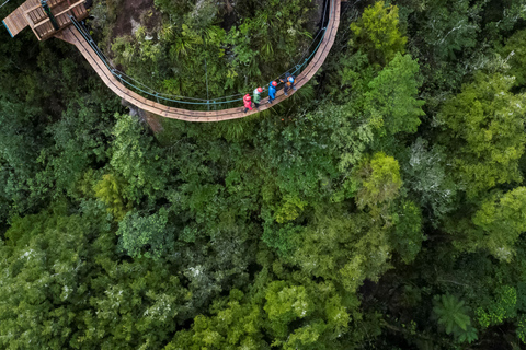 Rotorua: Tour guidato a piedi con zipline e camminata sulla scogliera vulcanica