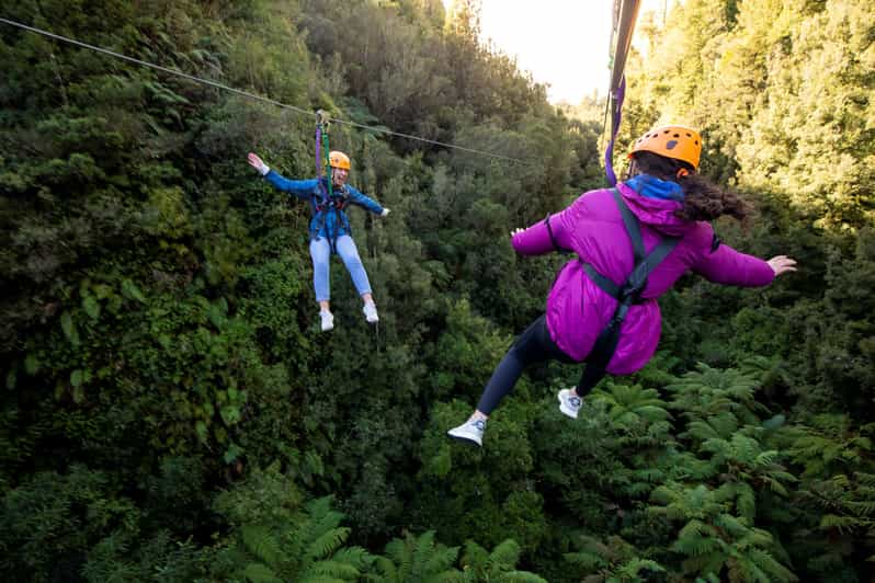 rotorua canopy tours promo code