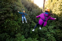 Rotorua, Ultimate Tour Zipline Guiado con / Paseo Volcánico del Acantilado - Hizvo