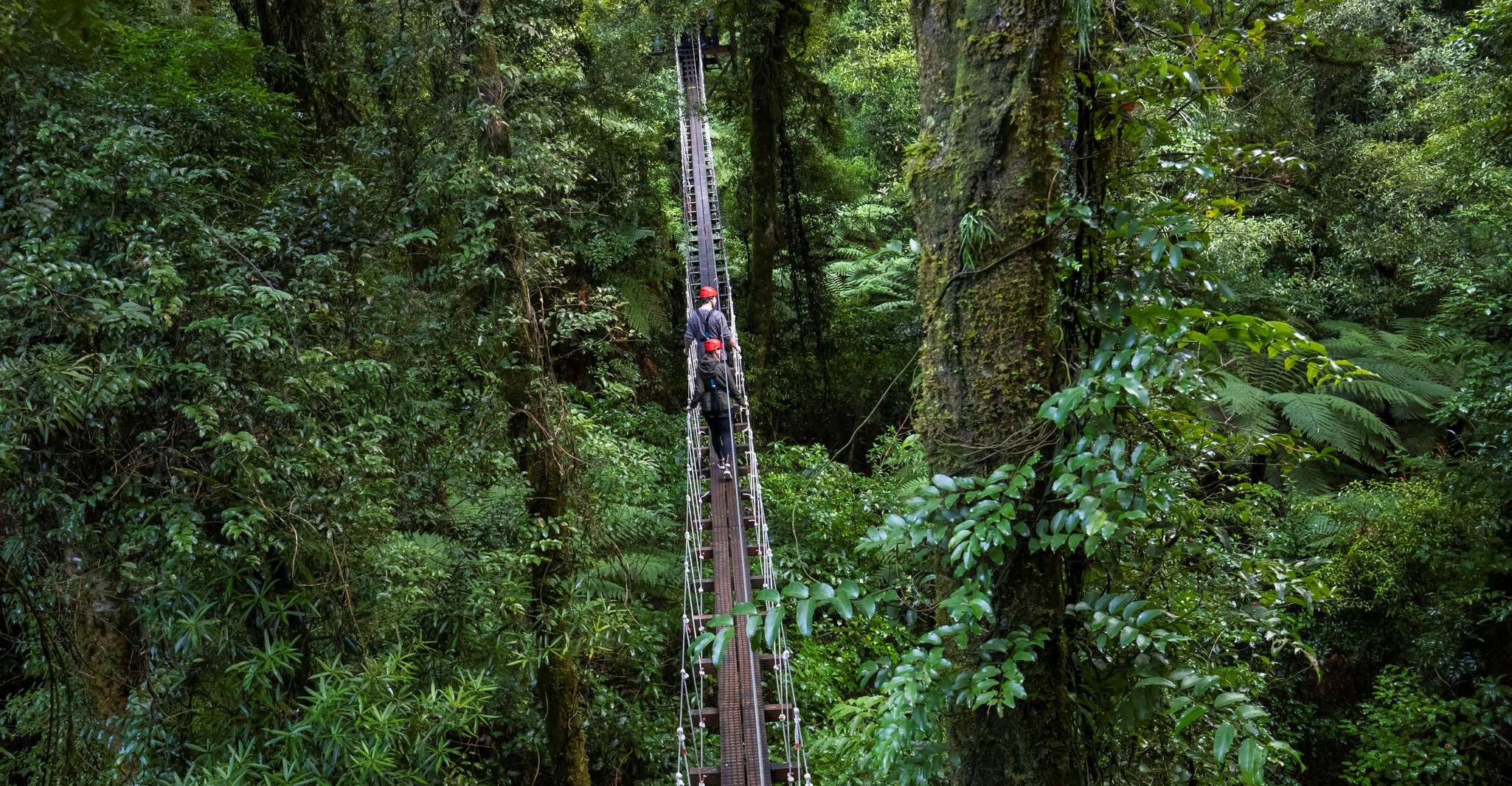 Rotorua, Ultimate Guided Zipline Tour w/ Volcanic Cliff Walk - Hizvo
