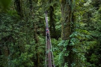 Rotorua, Ultimate Tour Zipline Guiado con / Paseo Volcánico del Acantilado - Hizvo