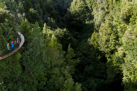 Rotorua: Ultieme Zipline Tour met gids en vulkanische klifwandeling