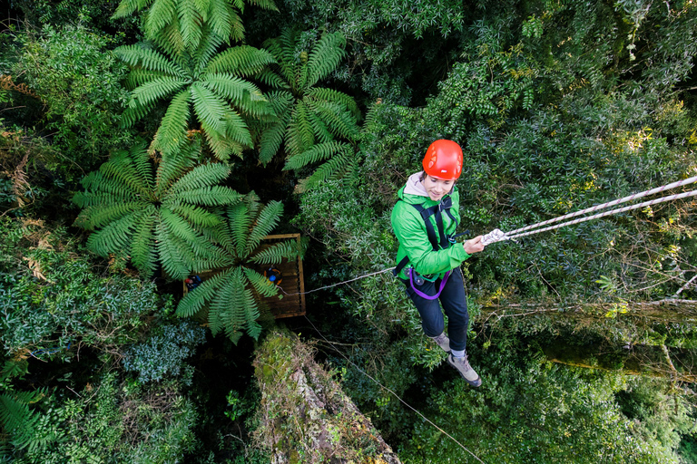 Rotorua: Zjazd na tyrolce z przewodnikiem i spacer po wulkanicznych klifachRotorua: Wycieczka Zipline z przewodnikiem i spacer po wulkanicznych klifach