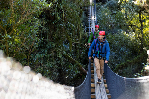 Rotorua : Ultimate Guided Zipline Tour w/ Volcanic Cliff Walk (en anglais)