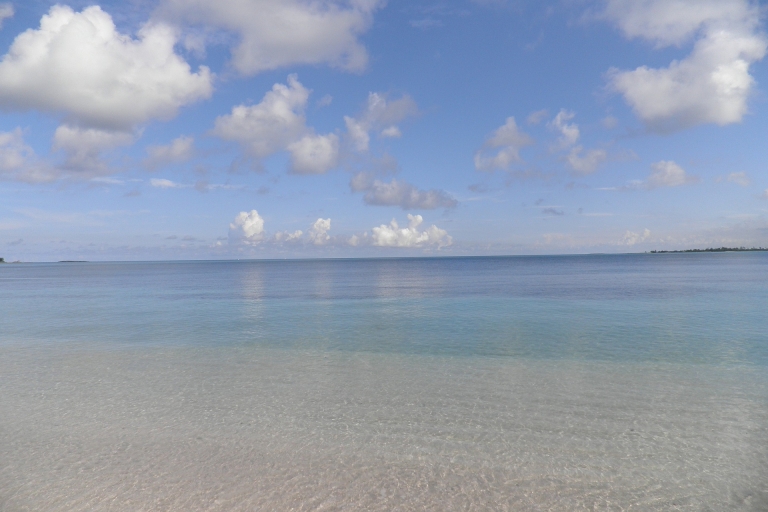 Vanuit Miami: Bimini Bahama's-dagtrip met hotelovername + veerboot