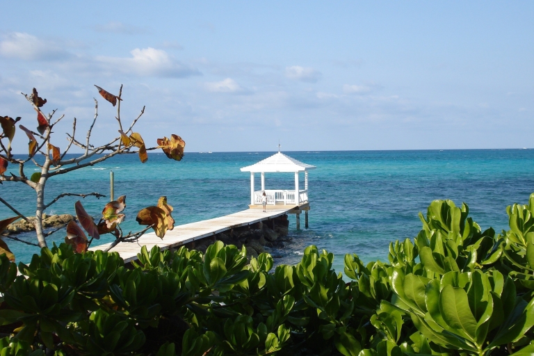 Depuis Miami : Excursion d'une journée aux Bahamas (Bimini) avec prise en charge à l'hôtel et ferry