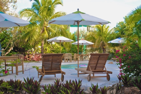 Z Miami: jednodniowa wycieczka Bimini na Bahamy z odbiorem z hotelu + promem