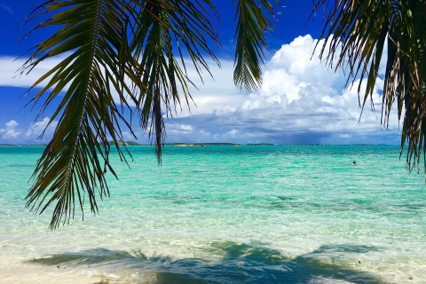 Depuis Miami : Excursion d'une journée aux Bahamas (Bimini) avec prise en charge à l'hôtel et ferry