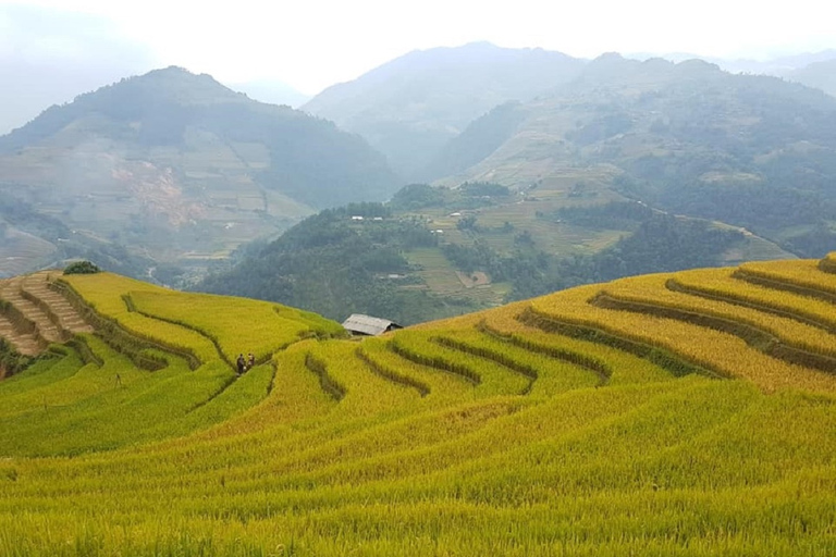 2-tägige Sapa-Trekking-Tour mit einheimischem Guide und Gastfamilie