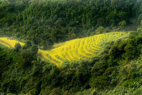 2-tägige Sapa-Trekking-Tour mit einheimischem Guide und Gastfamilie