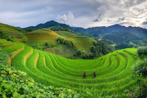 2 Day Sapa Trekking Tour with Local Guide & Homestay