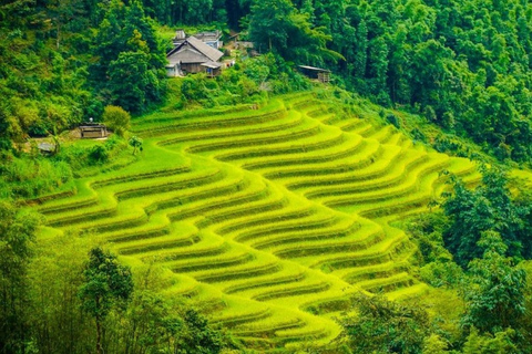 2-tägige Sapa-Trekking-Tour mit einheimischem Guide und Gastfamilie