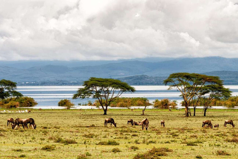 Excursão ao Parque Nacional Hells Gate e passeio de barco pelo Lago NaivashaExcursão ao Parque Nacional Hells Gate e Passeio de Barco no Lago Naivasha