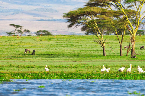 Tour to Hells Gate National Park and Lake Naivasha Boat Ride