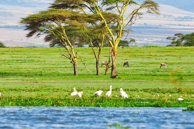 Excursão ao Parque Nacional Hells Gate e passeio de barco pelo Lago NaivashaExcursão ao Parque Nacional Hells Gate e Passeio de Barco no Lago Naivasha