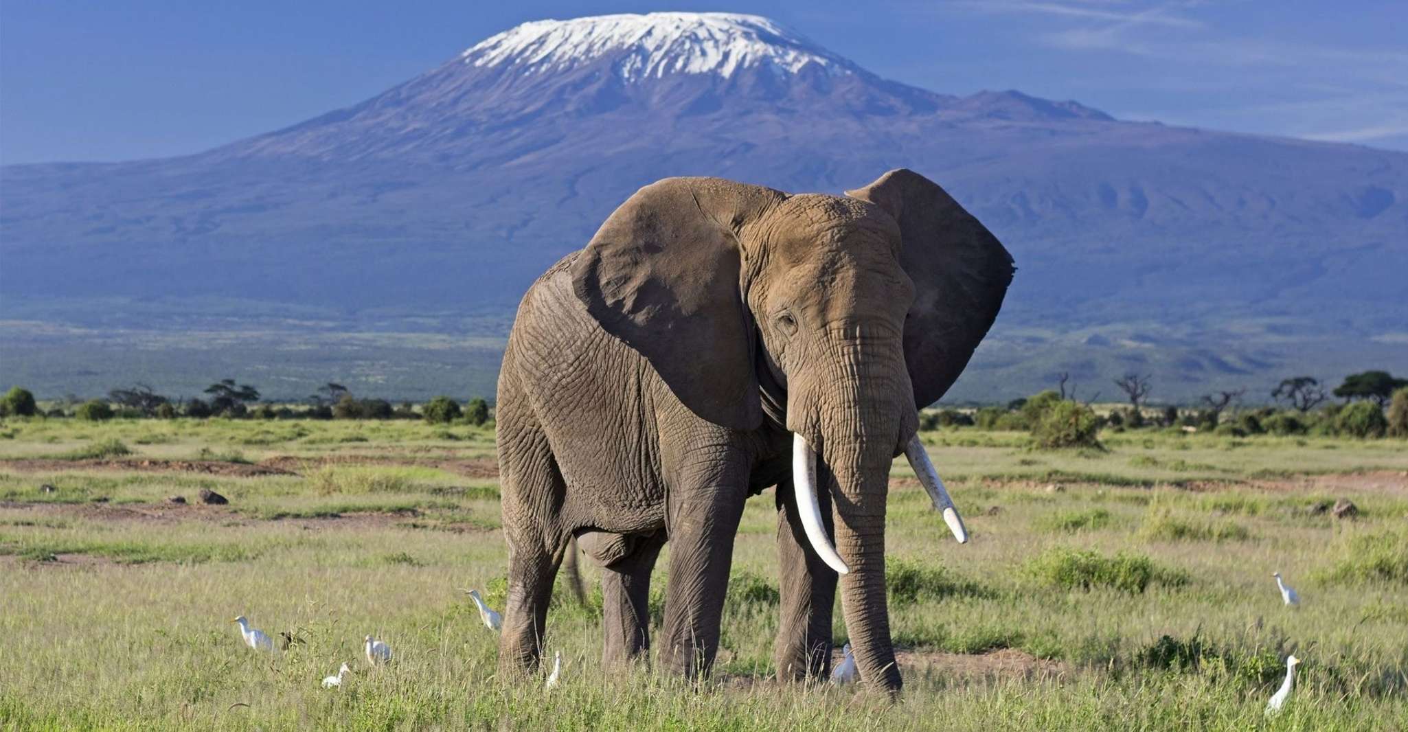 Nairobi, Masai Village ile Amboseli Ulusal Parkı Günü Gezisi - Hizvo