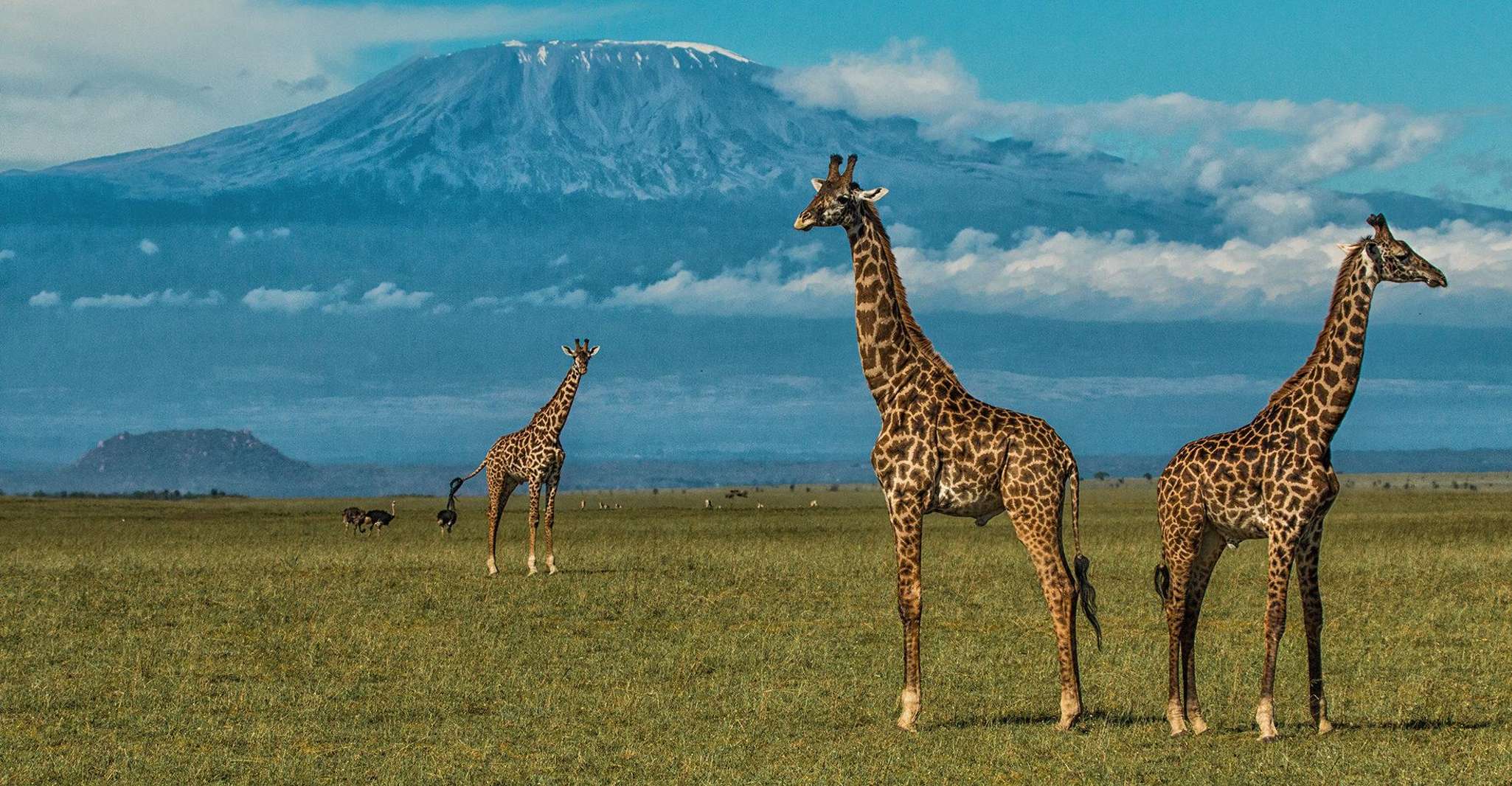 Nairobi, Masai Village ile Amboseli Ulusal Parkı Günü Gezisi - Hizvo