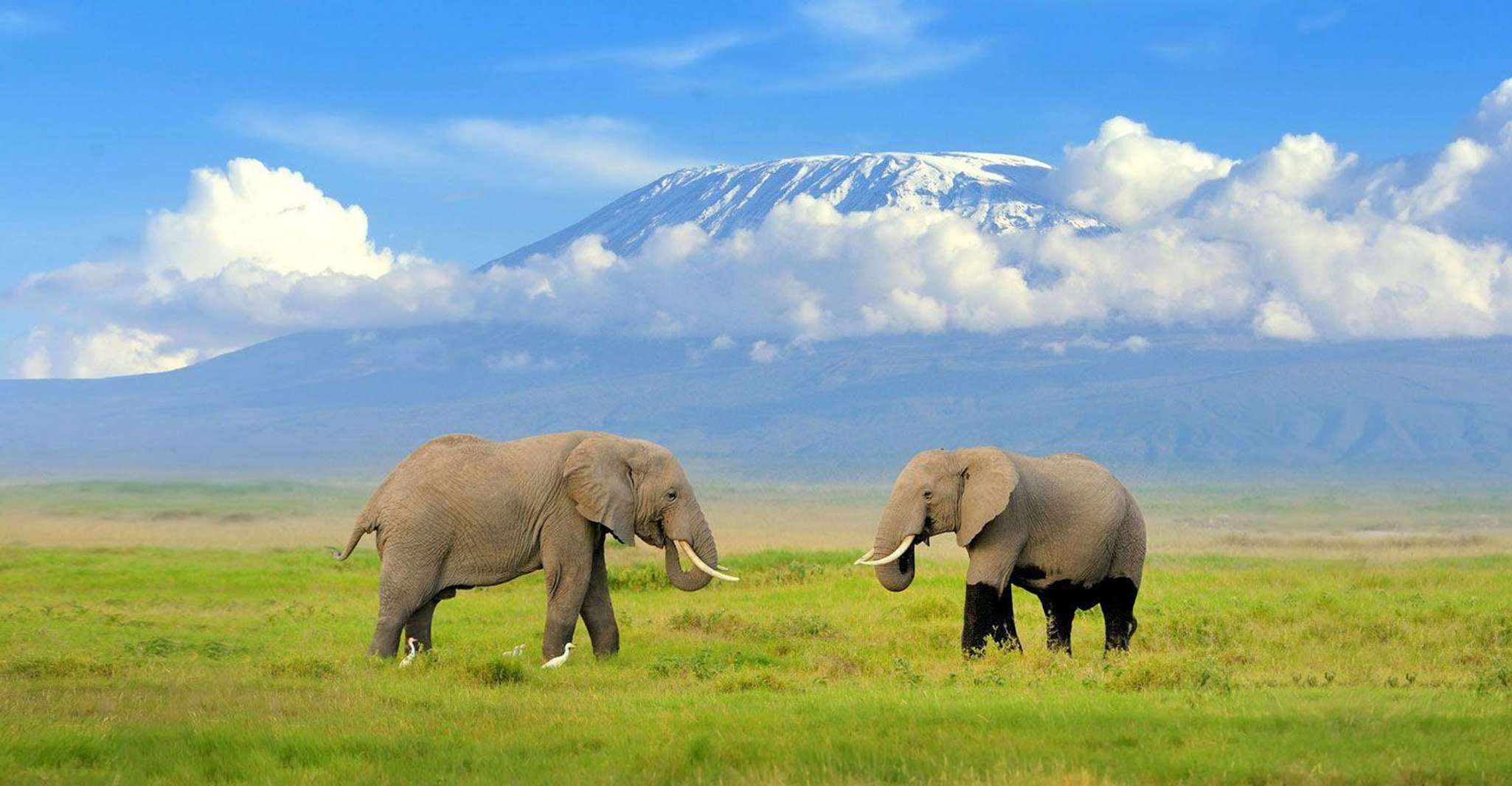 Nairobi, Masai Village ile Amboseli Ulusal Parkı Günü Gezisi - Hizvo