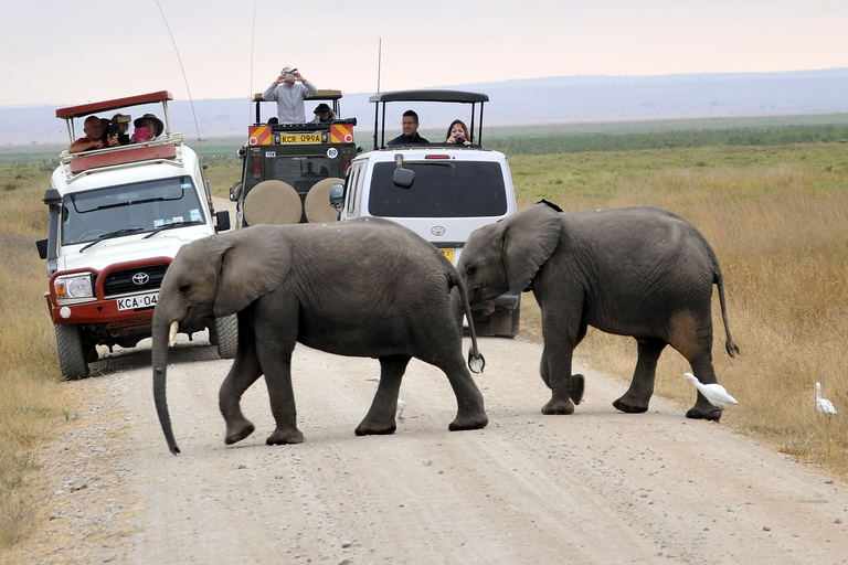 Excursion d'une journée dans le parc national d'Amboseli avec visite d'un village Masai