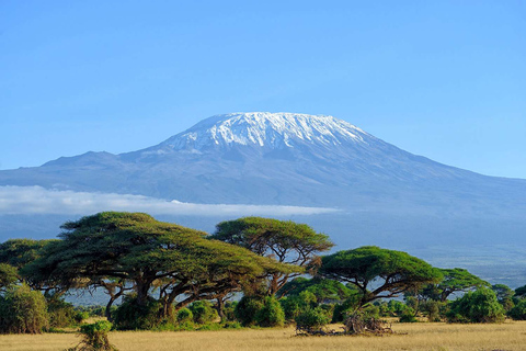 Nairobi: Escursione di un giorno al Parco Nazionale di Amboseli con villaggio MasaiNairobi: gita di un giorno al parco nazionale di Amboseli con il villaggio Masai