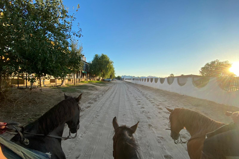 El Rocío: Ruta a Caballo por el Parque Nacional de Doñana