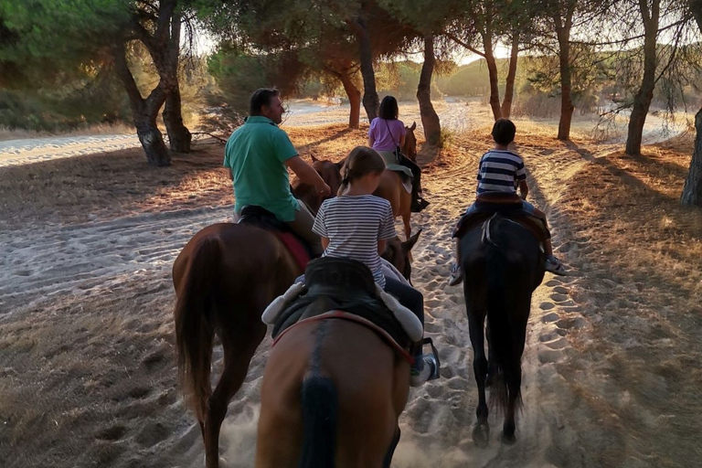 El Rocío : Randonnée à cheval dans le parc national de Doñana