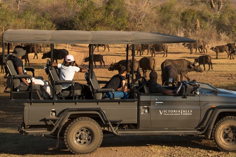 Night Game Drive + Bush-diner - Stanley Game Reserve