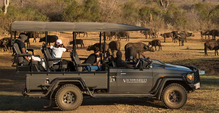 Victoria Falls: Big 5 Night Game Drive with Bush Dinner | GetYourGuide