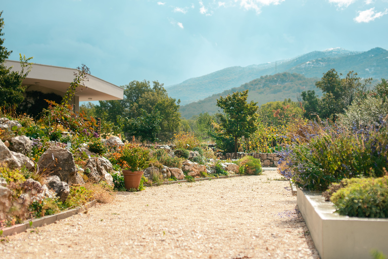 Split: Private tour to Klis Fortress and Vranjača cave