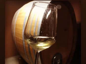 Kefalonia: Private Wine Tasting with Vineyard Tour