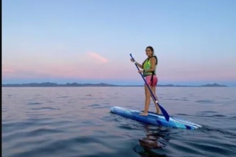 Loreto: Alquiler de tablas de paddle surf