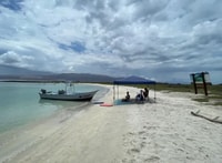 Loreto, servicio de alquiler de paddleboard - Housity