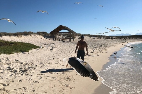 Loreto: Alquiler de tablas de paddle surf