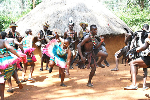 Au départ de Nairobi : visite et spectacle de danse culturelle des Bomas du KenyaL'après-midi, visite culturelle des Bomas du Kenya à Nairobi