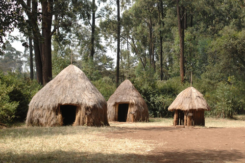 Au départ de Nairobi : visite et spectacle de danse culturelle des Bomas du KenyaL'après-midi, visite culturelle des Bomas du Kenya à Nairobi