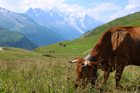 Circuit local à Chamonix et dans les Aravis