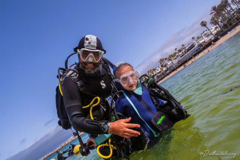 Officier Australië Sijpelen LanzarteEerste duikervaring voor kinderen van 8-10 jaar | GetYourGuide