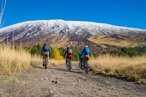 Etna: tour in bici elettrica con pranzo e trasporto